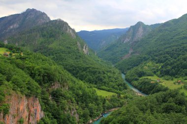 Sıcak bir yaz gününde Karadağ orman güzel dağ manzarası, geçitte dağ nehri
