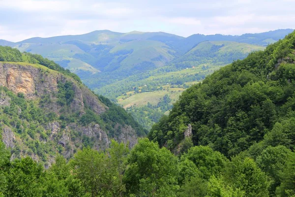 Piękne Górskie Dekoracje Lesie Czarnogóry Gorącym Letnim Dniu — Zdjęcie stockowe