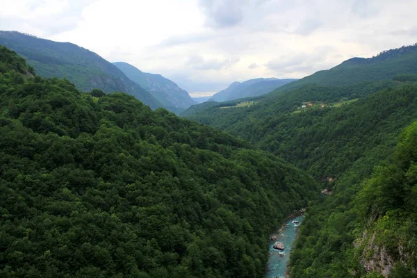 Piękna Górska Sceneria Lesie Czarnogóry Gorącym Letnim Dniu Górska Rzeka — Zdjęcie stockowe