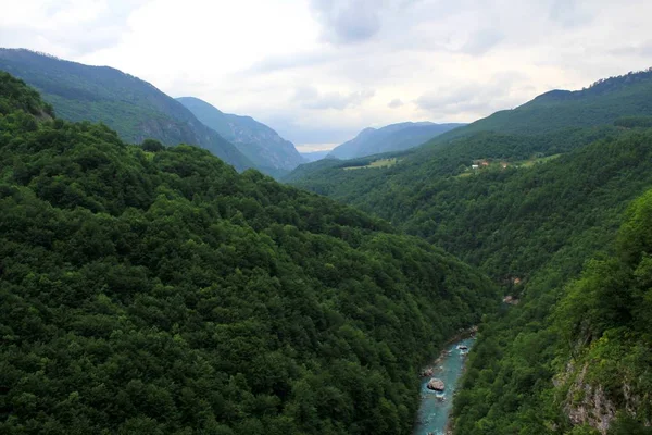 Sıcak bir yaz gününde Karadağ orman güzel dağ manzarası, geçitte dağ nehri