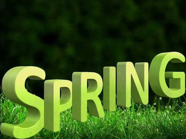 Beautiful Green Background Big Spring Inscription Format — Stock Photo, Image