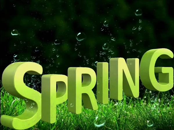 Piękne Zielone Tło Dużym Napisem Wiosna Formacie — Zdjęcie stockowe