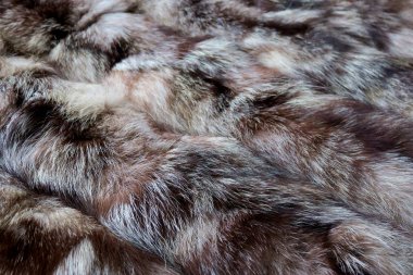 siyah çizgili doğal kürk gri beyaz