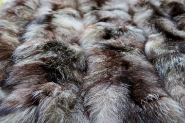 siyah çizgili doğal kürk gri beyaz