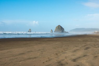 Güzel Cannon Plajı, Oregon. Doğa, seyahat