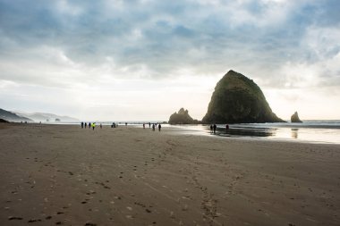 Güzel Cannon Plajı, Oregon. Doğa, seyahat