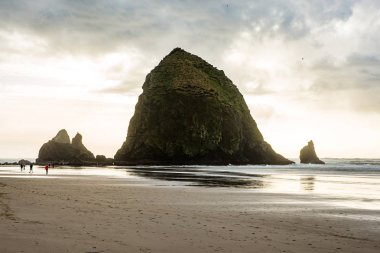 Güzel Cannon Plajı, Oregon. Doğa, seyahat