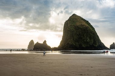 Güzel Cannon Plajı, Oregon. Doğa, seyahat