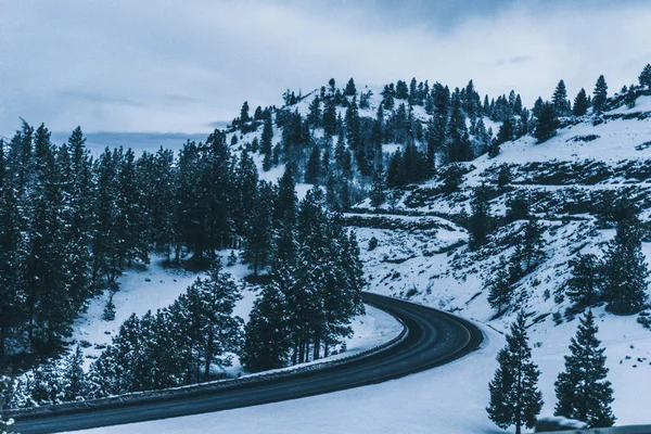 Beautiful Landscape Yosemite Usa — Stock Photo, Image