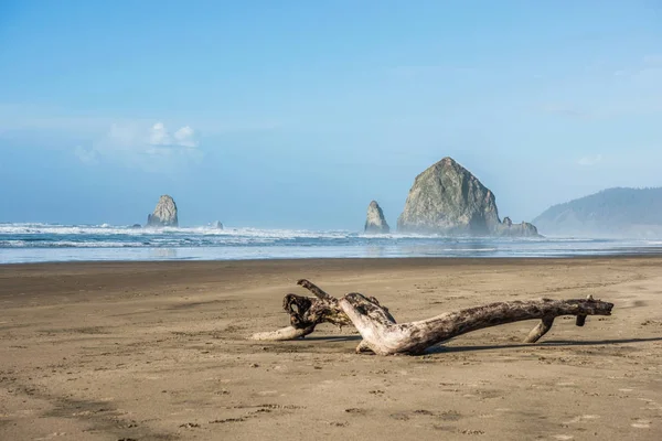 Beautiful Cannon Beach Eua — Fotografia de Stock