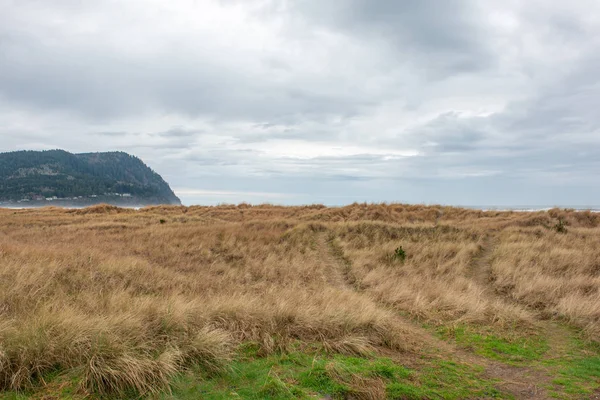 kış aylarında sahil, Oregon, Abd