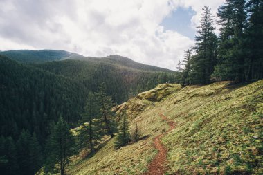 Pasifik Kuzeybatı Yürüyüşü, doğa