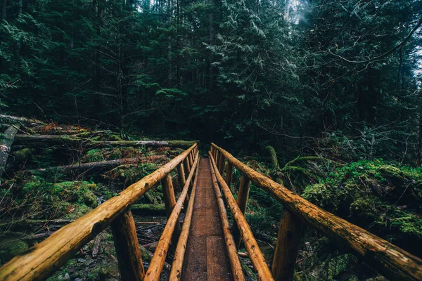 Pasifik Kuzeybatı Yürüyüşü, doğa