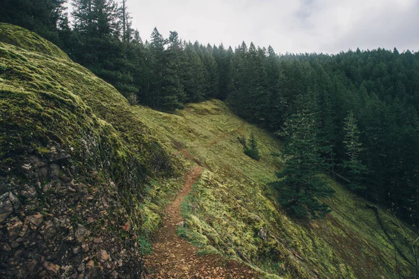 Pacific Northwest Caminhada Natureza — Fotografia de Stock