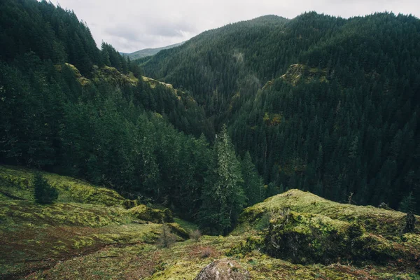 Pacific Northwest Hike Natur — Stockfoto