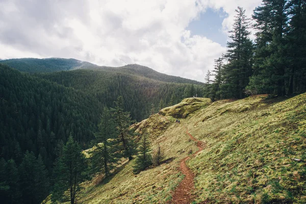 Pasifik Kuzeybatı Yürüyüşü, doğa
