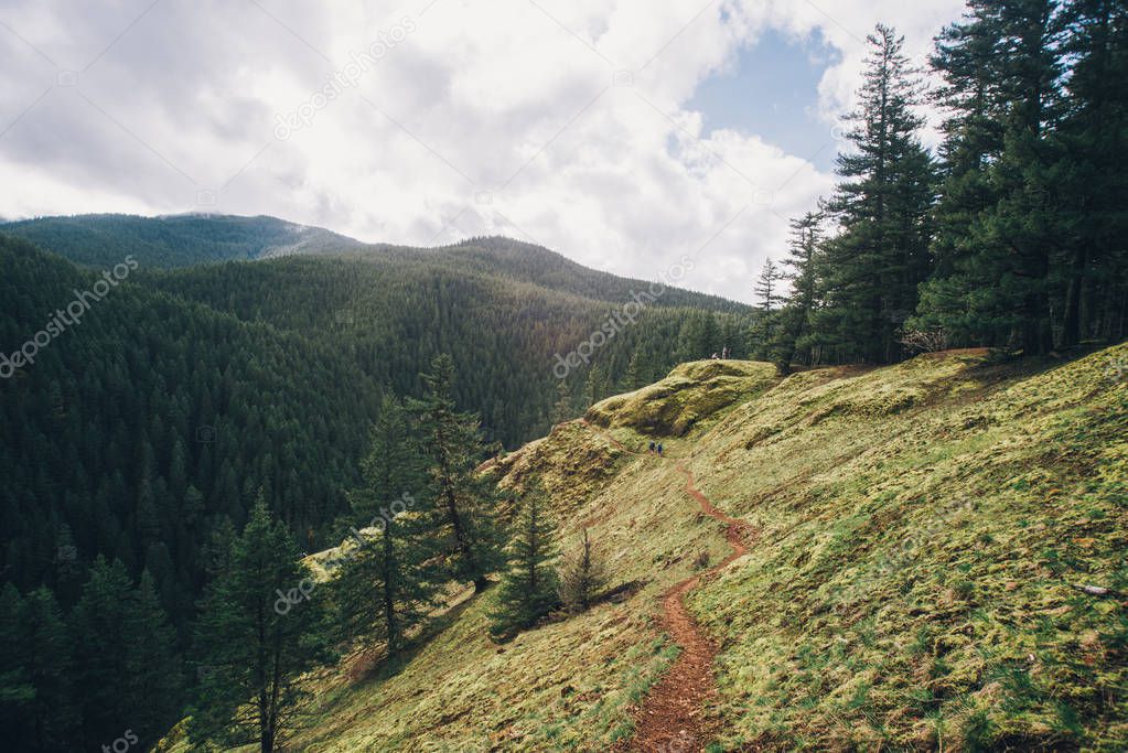 Pacific Northwest Hike, nature