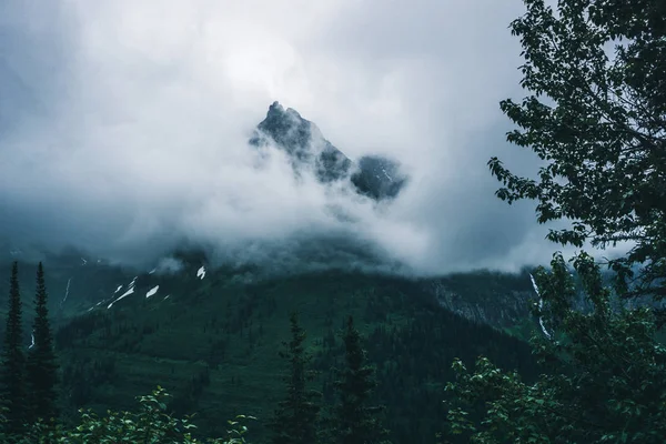 Buzul Milli Parkı Montana. Doğa, seyahat