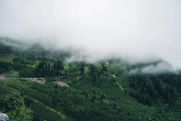 Buzul Milli Parkı Montana. Doğa, seyahat