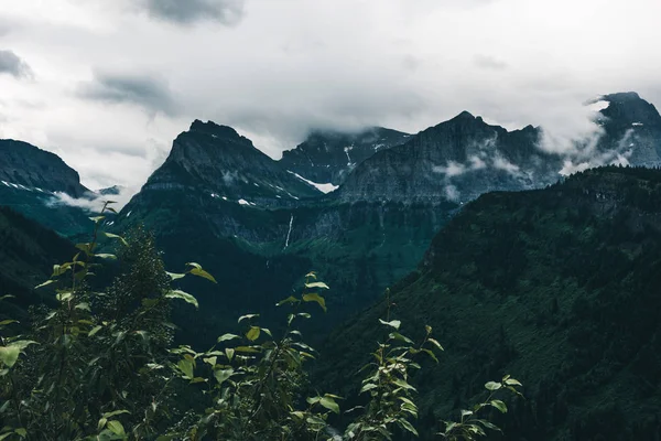 Buzul Milli Parkı Montana. Doğa, seyahat 