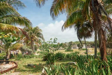Hindistan 'ın güneyindeki tropik bölgelerde palmiyeler ve plajlar
