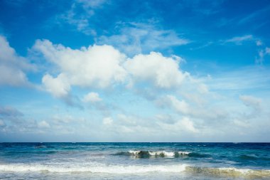Tulum Mexico Beach, doğa, seyahat