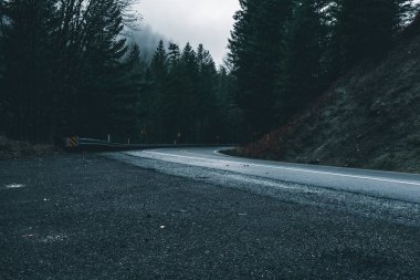 Uğursuz Pasifik Kuzeybatı. Doğa, seyahat