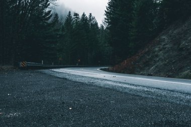 Uğursuz Pasifik Kuzeybatı. Doğa, seyahat