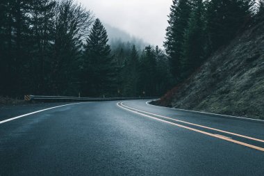 Uğursuz Pasifik Kuzeybatı. Doğa, seyahat