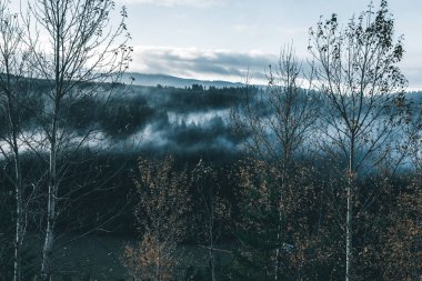 Uğursuz Pasifik Kuzeybatı. Doğa, seyahat