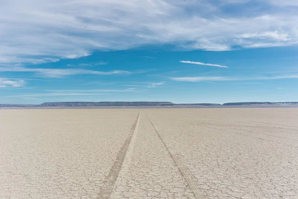 Alvord Çöl Playa. Doğa