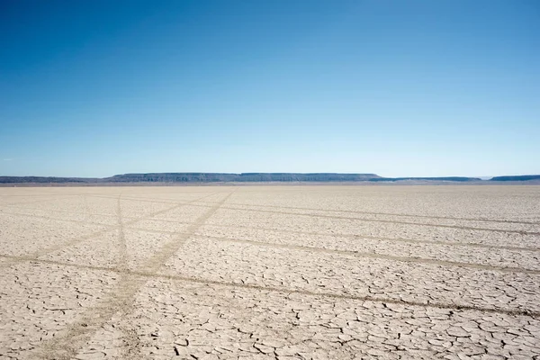 Alvord Çöl Playa. Doğa