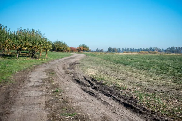 Orchard Toprak Yolu. Doğa