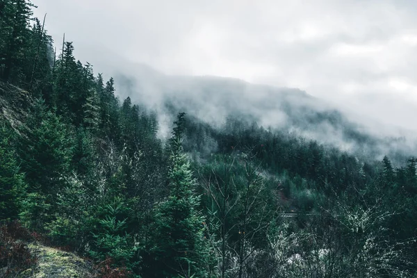 Ominous Pacific Northwest Nature Travel — Stock Photo, Image