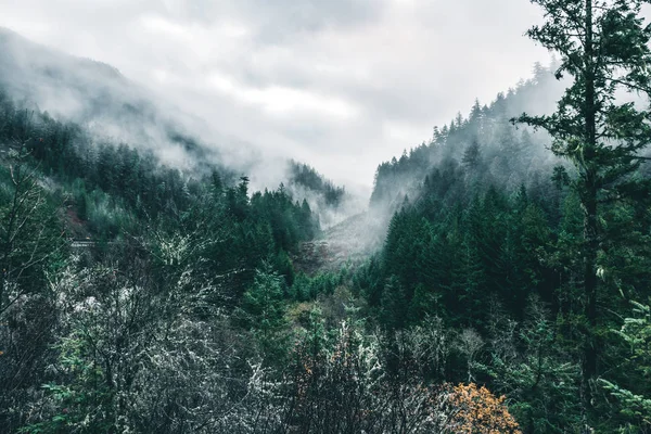 Ominous Pacific Northwest Natureza Viagem — Fotografia de Stock