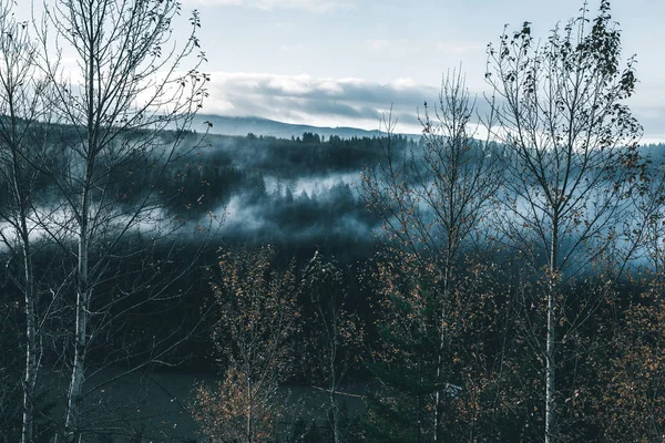 Ominous Pacific Northwest Nature Travel — Stock Photo, Image