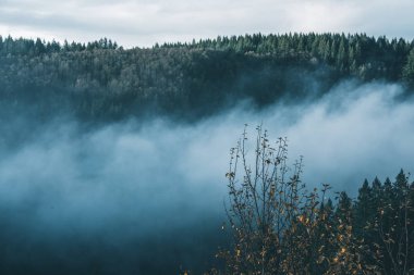 Uğursuz Pasifik Kuzeybatı. Doğa, seyahat