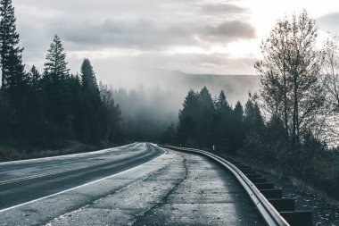 Uğursuz Pasifik Kuzeybatı. Doğa, seyahat