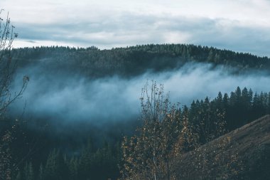 Uğursuz Pasifik Kuzeybatı. Doğa, seyahat