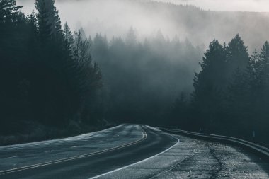 Uğursuz Pasifik Kuzeybatı. Doğa, seyahat