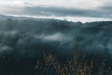Uğursuz Pasifik Kuzeybatı. Doğa, seyahat