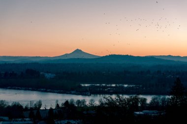 Mount Hood Sunrise, Portland