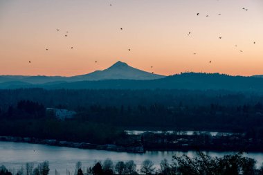 Mount Hood Sunrise, Portland