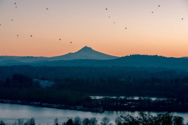 Mount Hood Sunrise, Portland