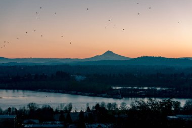 Mount Hood Sunrise, Portland