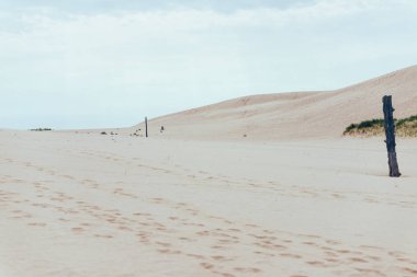 Silver Lake Kum Tepeleri, Michigan