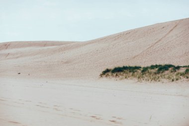 Silver Lake Kum Tepeleri, Michigan