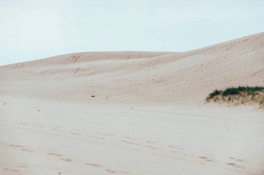 Silver Lake Kum Tepeleri, Michigan