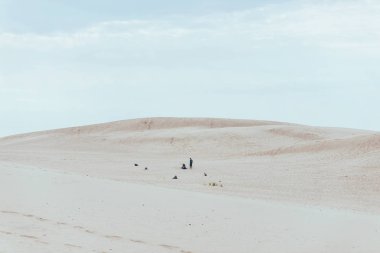 Silver Lake Kum Tepeleri, Michigan