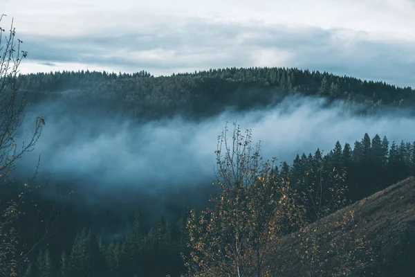 Uğursuz Pasifik Kuzeybatı. Doğa, seyahat